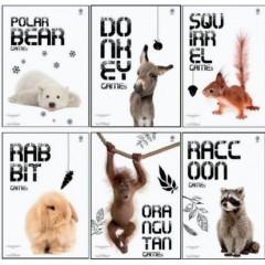 ΣΠΙΡΑΛ 17Χ25 CUTIES 2Θ/60Φ (ΣΥΣΚ-10ΤΕΜ)