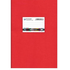 ΤΕΤΡΑΔΙΟ ΠΛΑΣΤΙΚΟ ΔΙΡΙΓΟ ΚΟΚΚΙΝΟ  EX-BLUE 80gr 17X25/50Φ (ΣΥΣΚ-15ΤΕΜ)