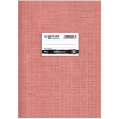 ΤΕΤΡΑΔΙΟ COLORLINE 80gr ΛΕΥΚΟ Α4 21Χ29/40Φ ΡΙΓΕ (ΣΥΣΚ-10ΤΕΜ)