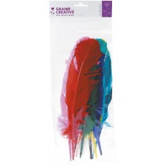 ΦΤΕΡΑ ΙΝΔΙΑΝΟΥ ΔΙΑΦΟΡΑ ΧΡΩΜΑΤΑ 34 CM