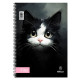 ΣΠΙΡΑΛ KITTIE  21X29/60 ΣΕΛ 1Θ (ΣΥΣ-10ΤΕΜ)