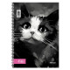 ΣΠΙΡΑΛ KITTIE  21X29/60 ΣΕΛ 1Θ (ΣΥΣ-10ΤΕΜ)
