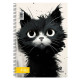 ΣΠΙΡΑΛ KITTIE  21X29/120 ΣΕΛ 2Θ (ΣΥΣ-10ΤΕΜ)