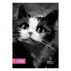 ΤΕΤΡΑΔΙΟ ΚΑΡΦΙΤΣΑ KITTIE 17X25/40Φ ΡΙΓΕ (ΣΥΣΚ-15ΤΕΜ)