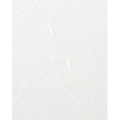 ΡΙΖΟΧΑΡΤΟ ΛΕΥΚΟ 25GR 47X64CM (ΣΥΣΚ-10ΤΕΜ)