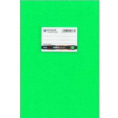 ΤΕΤΡΑΔΙΑ ΧΡΩΜΑΤΙΣΤΑ 17Χ25 ΛΑΧΑΝΙ EX-COLOR 80g 50Φ ΡΙΓΕ (ΣΥΣ-15ΤΕΜ)