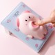 ΣΗΜΕΙΩΜΑΤΑΡΙΟ SQUISHY PIG MANAL