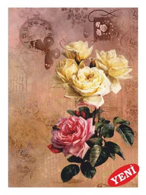 EASY TRANSFER 23X33 1428V ARTEBELLA