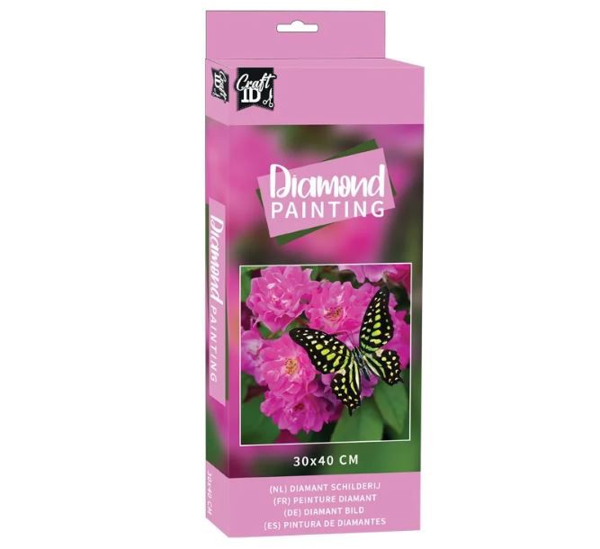 DIAMOND PAINTING BUTTERFLY 30X40CM