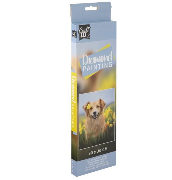 DIAMOND PAINTING DOG 30X30CM
